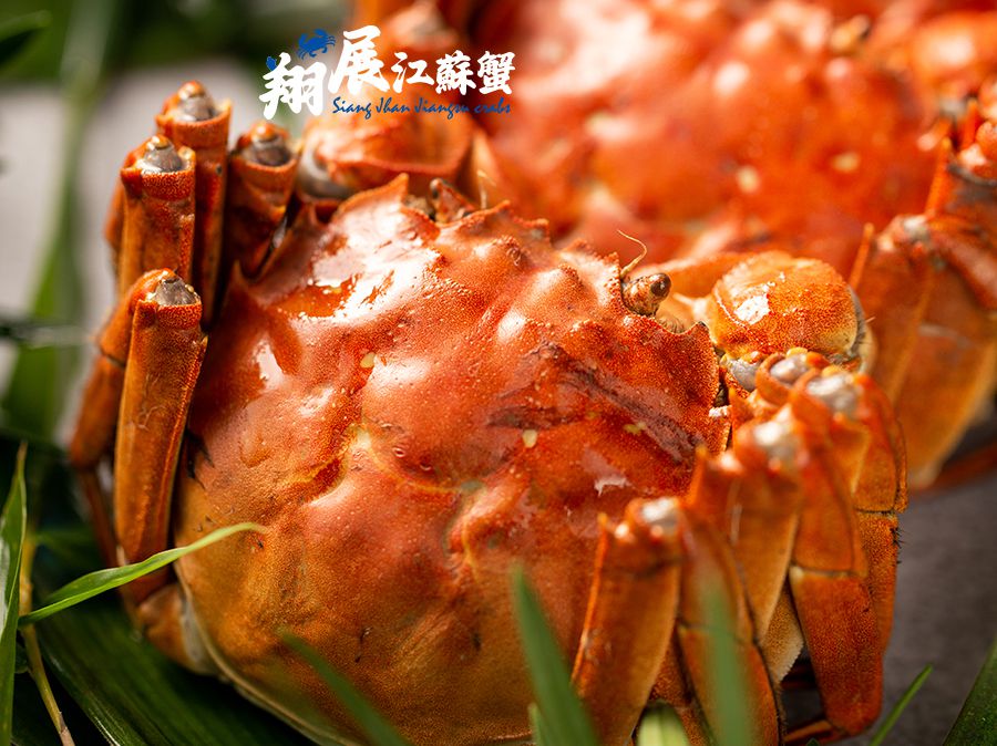 每隻★6.0~6.5兩★特挑大閘蟹